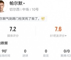 帕尔默本场数据：传球成功率100%+3关键传球1造良机 8对抗3成功